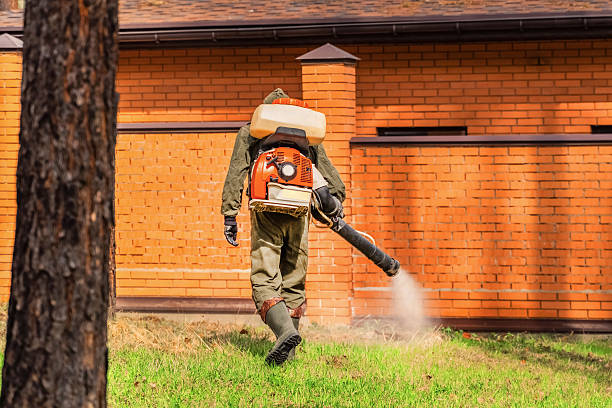 Trusted Emergency Pest Control service in Church Point, LA - Nex Pest Control